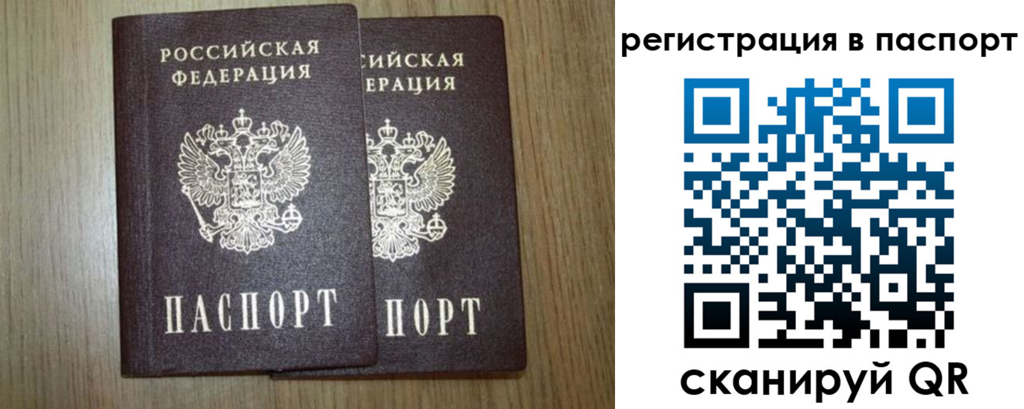 прописка регистрация в Ленинградской области