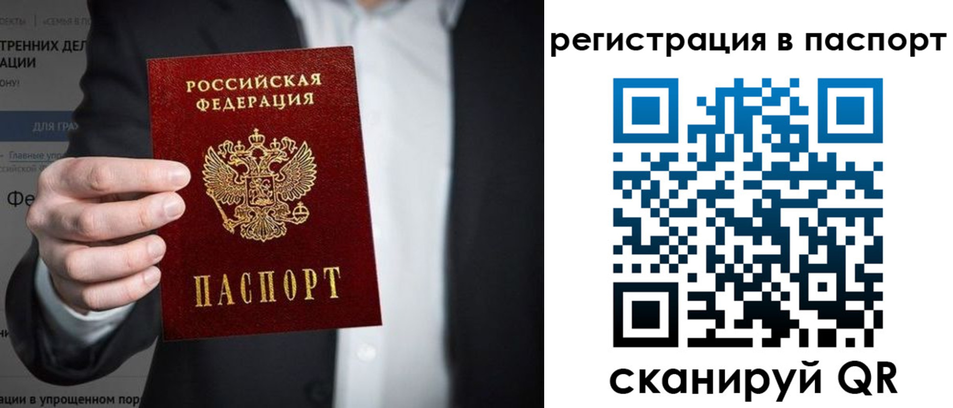 регистрация для школы в Ленинградской области